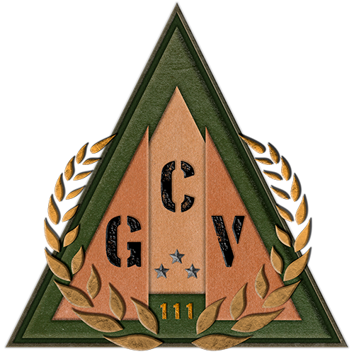 GCV_nuevo_500x500.png