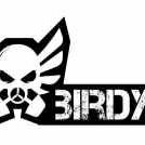 Birdys